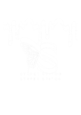 SKYEE