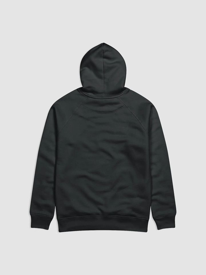 'Limited Edition 2024 Classic' Unisex Hoodie product image (2)