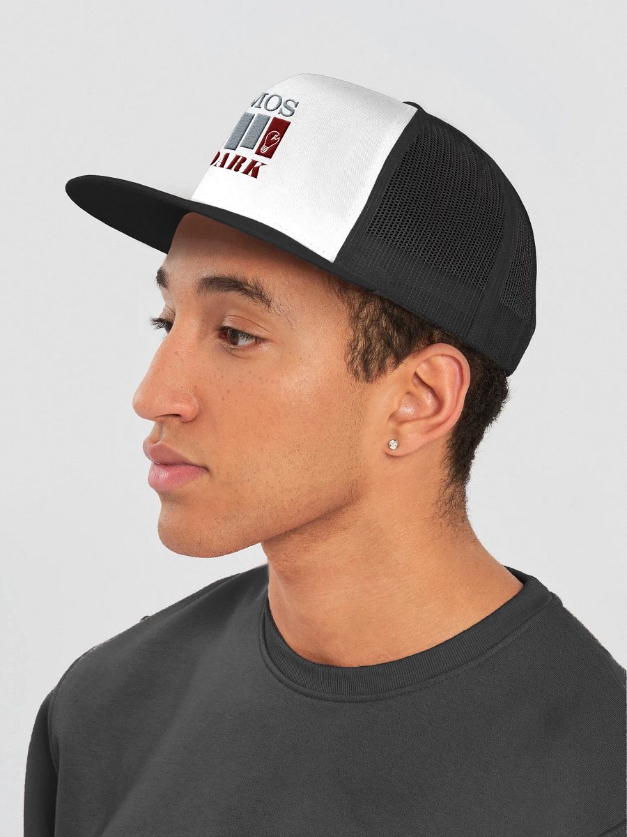 DITD TRUCKER HAT #2 product image (4)