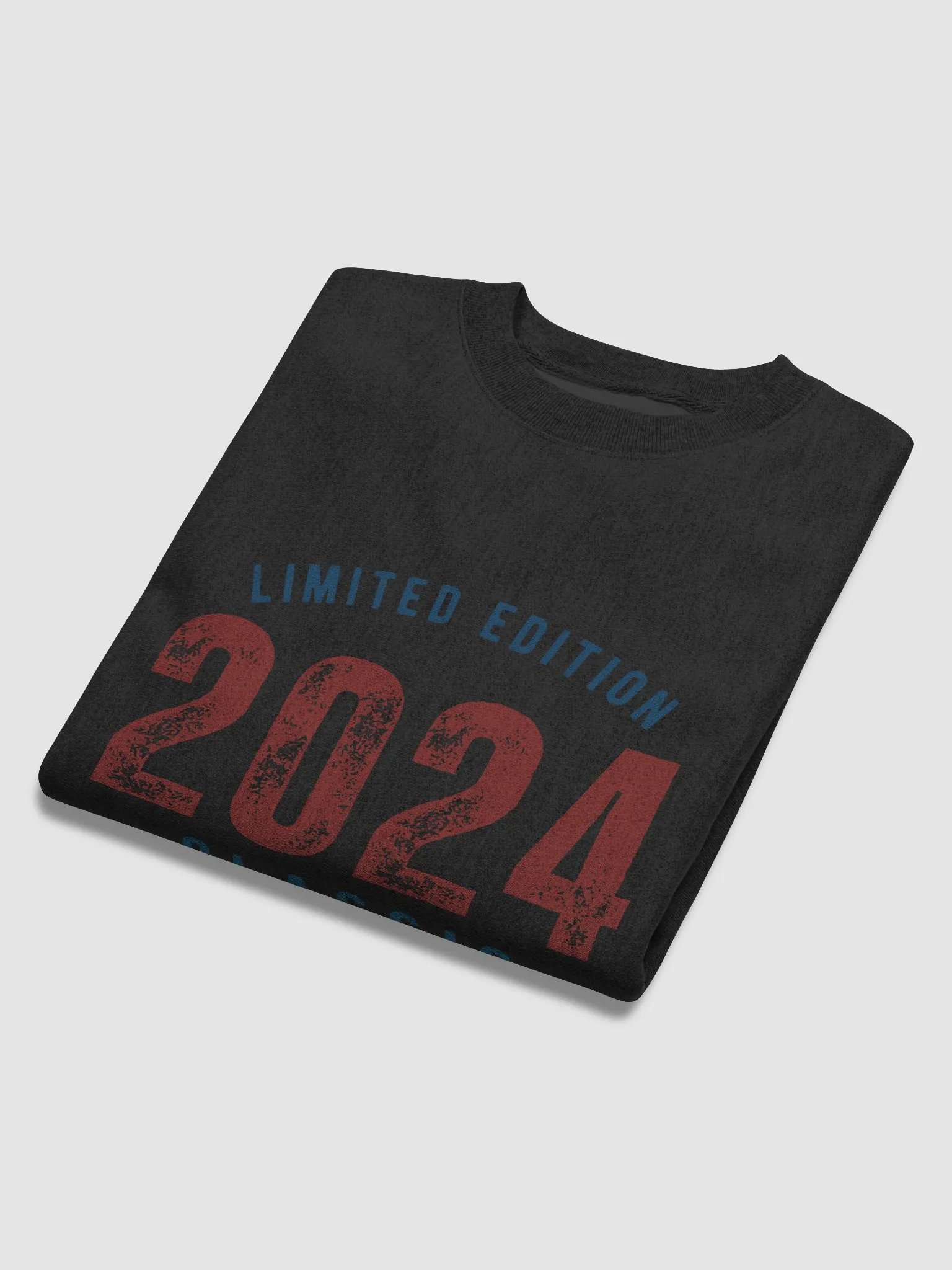 'Limited Edition 2024 Classic' Champion Sweatshirt product image (6)