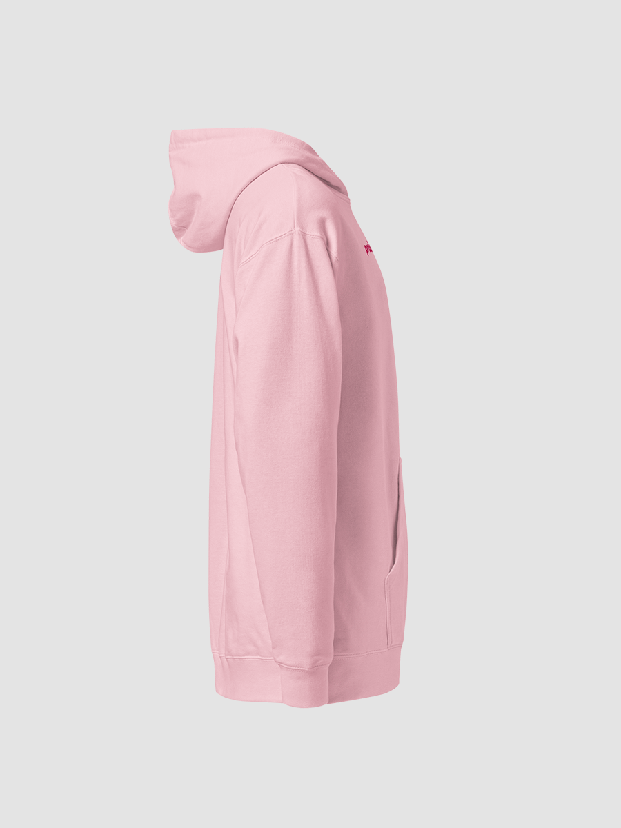 praise the orb embroidered hoodie product image (7)