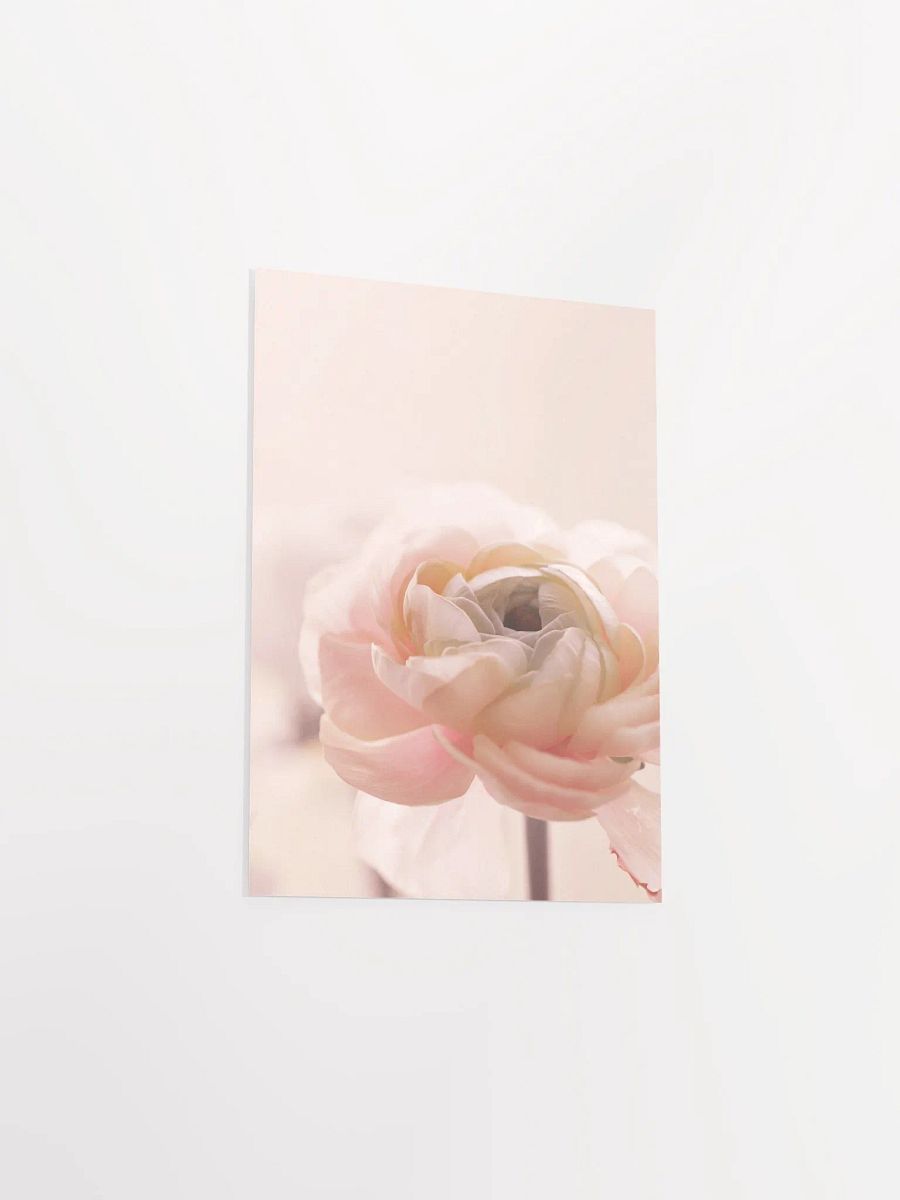 Dreamy flower Petal Delight Poster product image (34)
