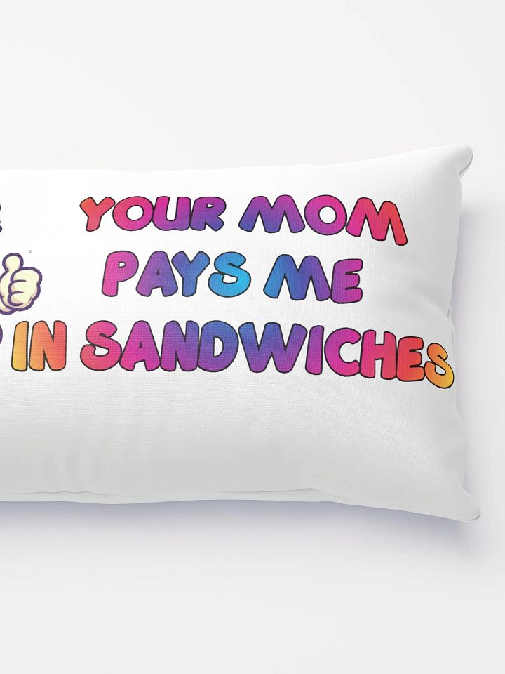 Jay - Pillow - Your mom pays me in sandwiches product image (5)
