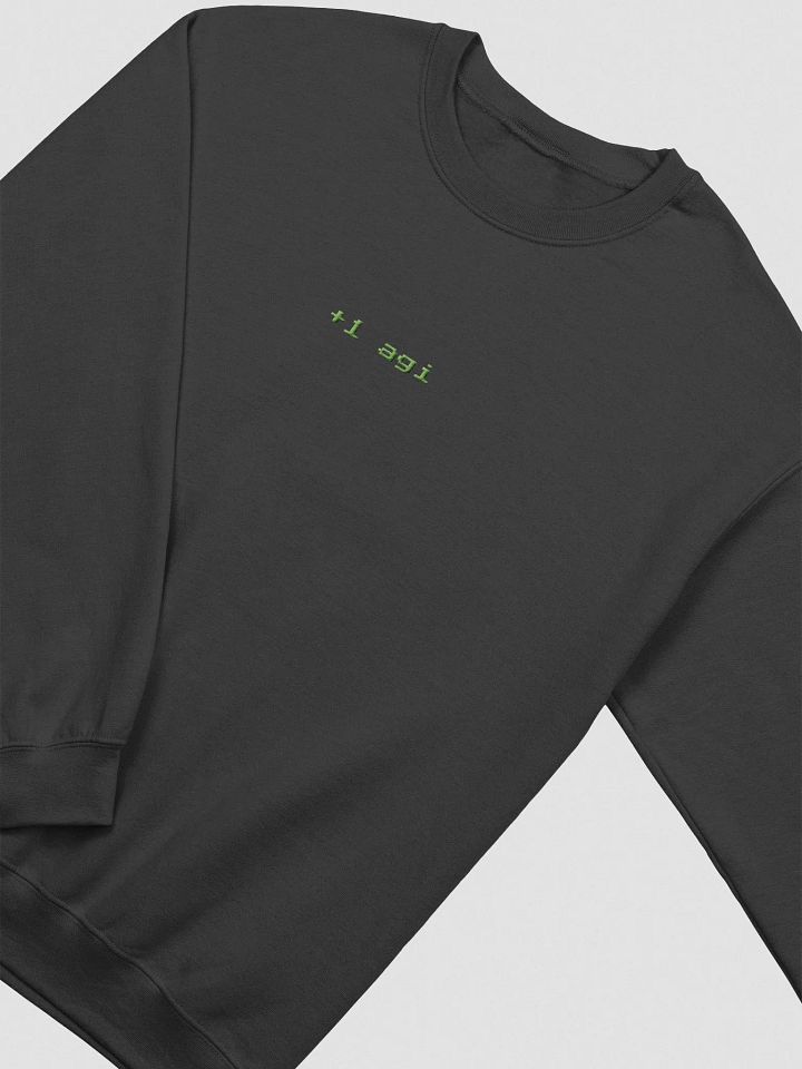 Embroidered Rogue Sweatshirt product image (1)