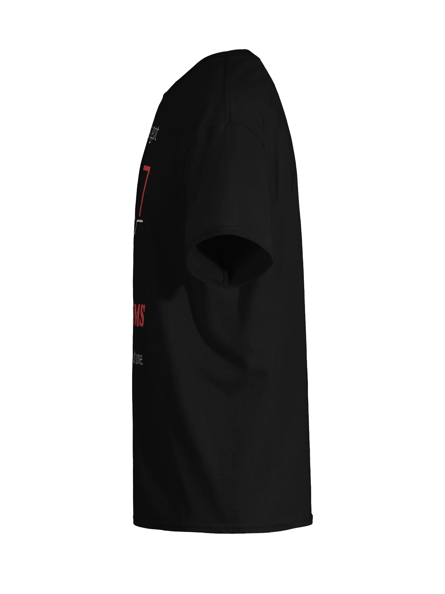 Mom's 67 Problems product image (11)