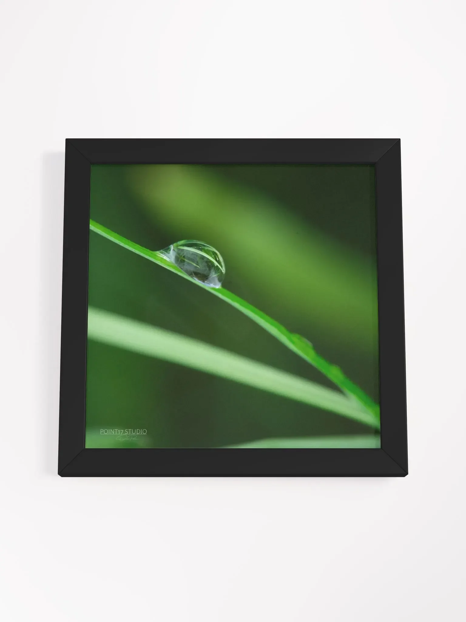 Dew Gems #6 - Framed Print product image (4)