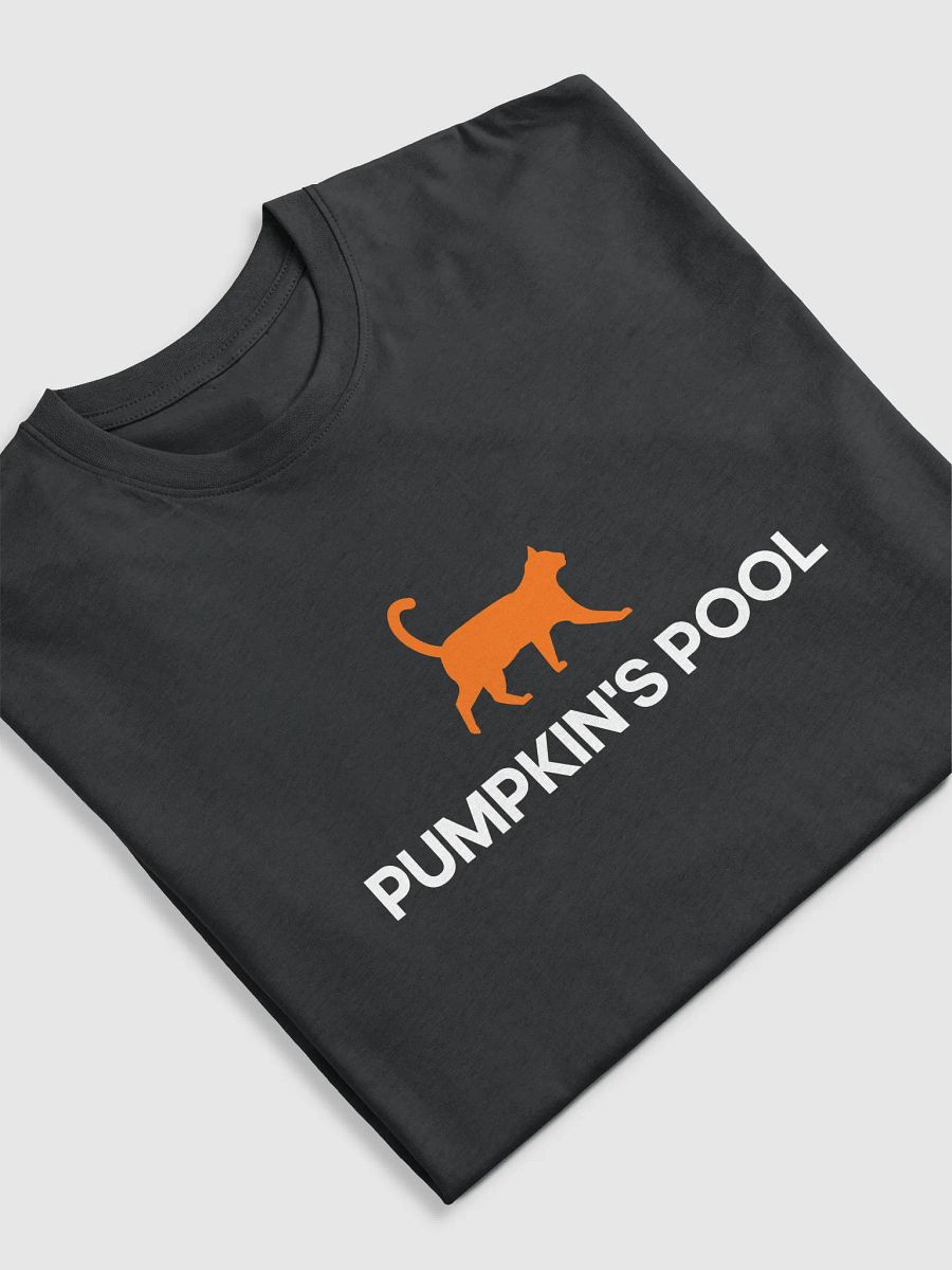 Pumpkin's Premium Heavyweight Tee product image (5)