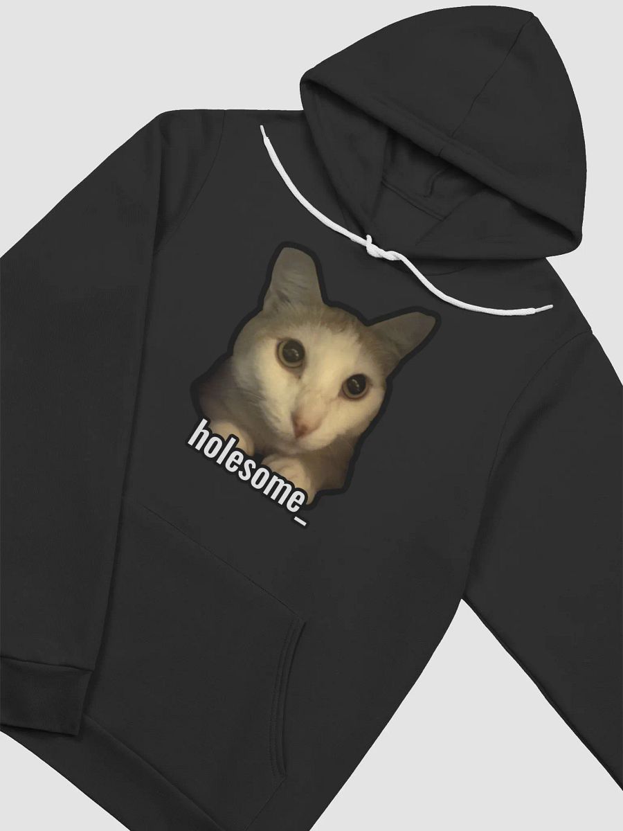 holesome Nico Hoodie product image (9)