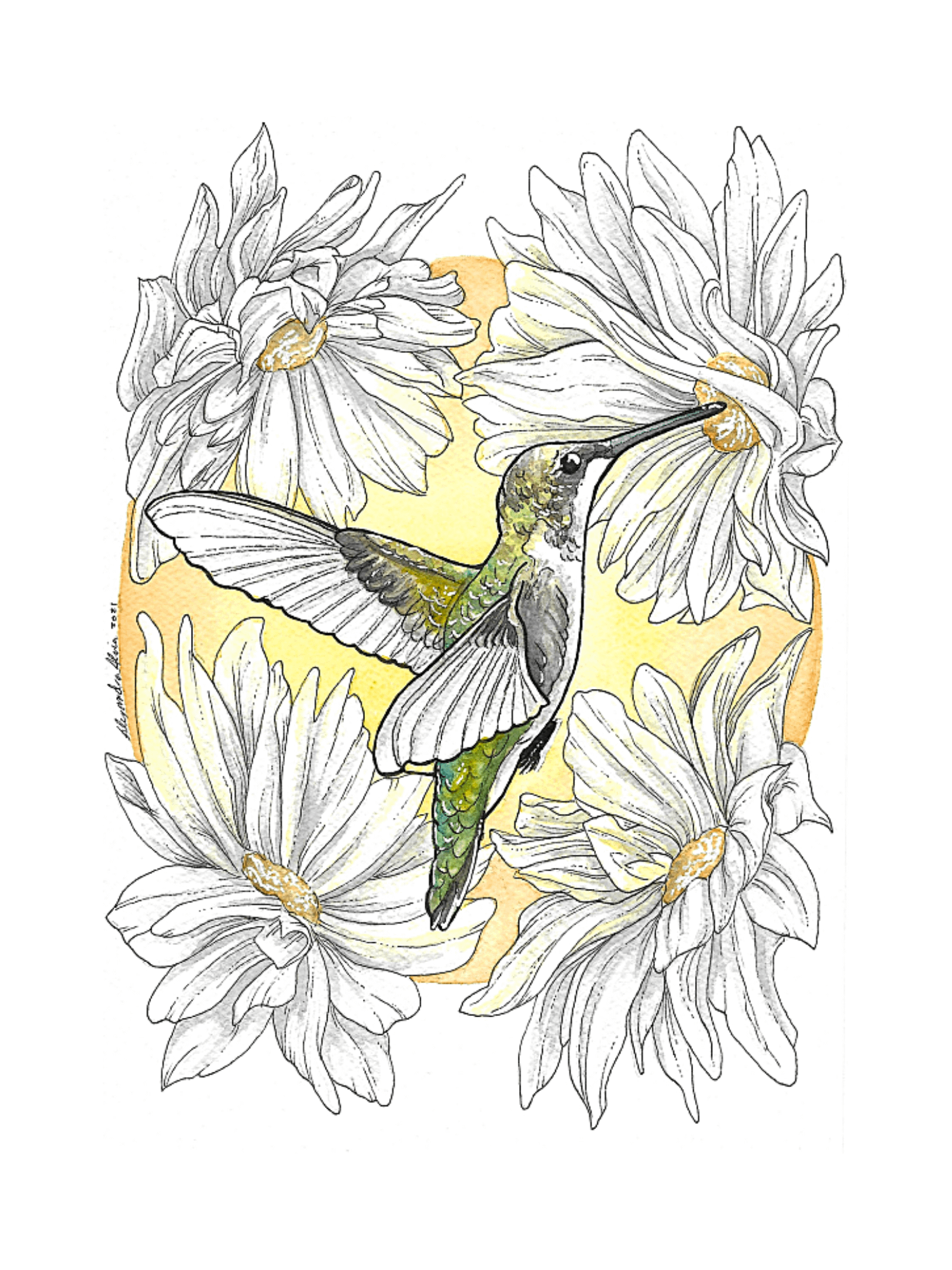 Custom Watercolor Bird product image (2)