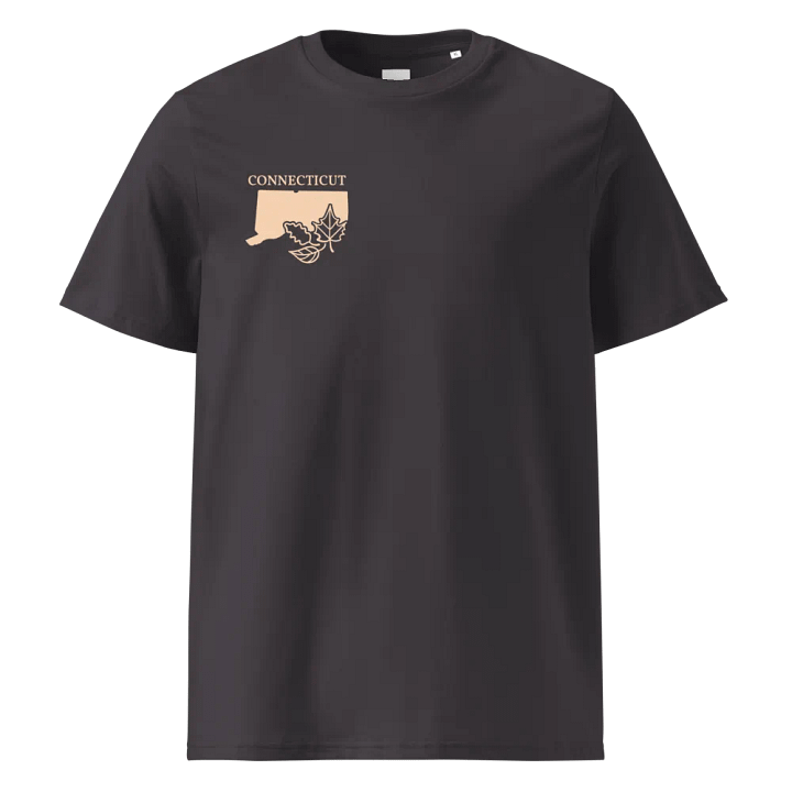 Connecticut Leafy Silhouette Organic Tee product image (5)