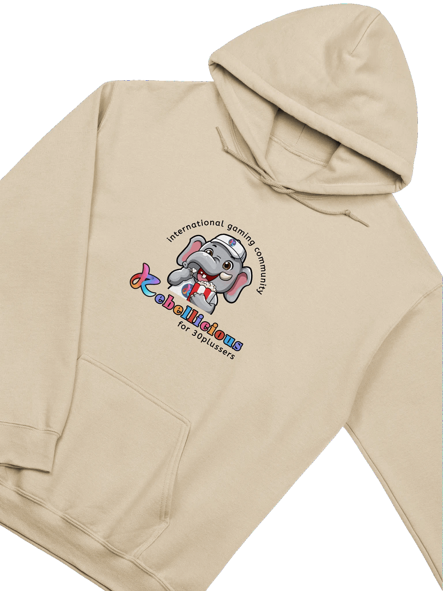 Gildan Classic Hoodie product image (3)