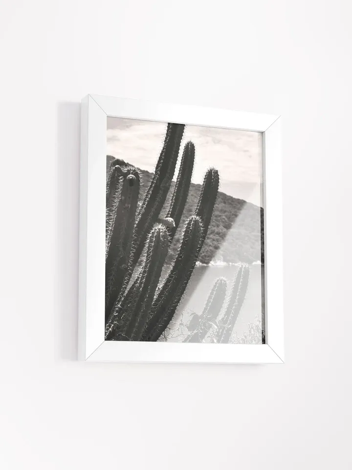 Mexico Lindo - Framed High-Quality Matte Poster product image (2)