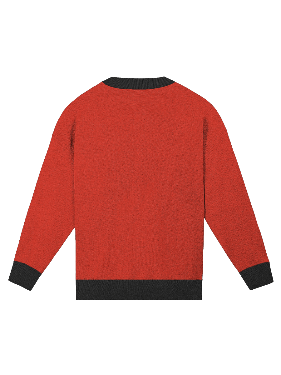 Ladybug Relaxed Jacquard Sweater – Knit Pullover with Lucky Insect Design product image (10)