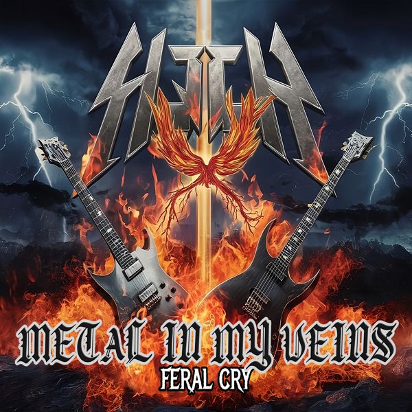 Metal in My Veins product image (1)