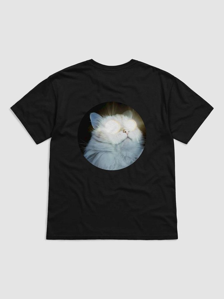 Tshirt product image (2)