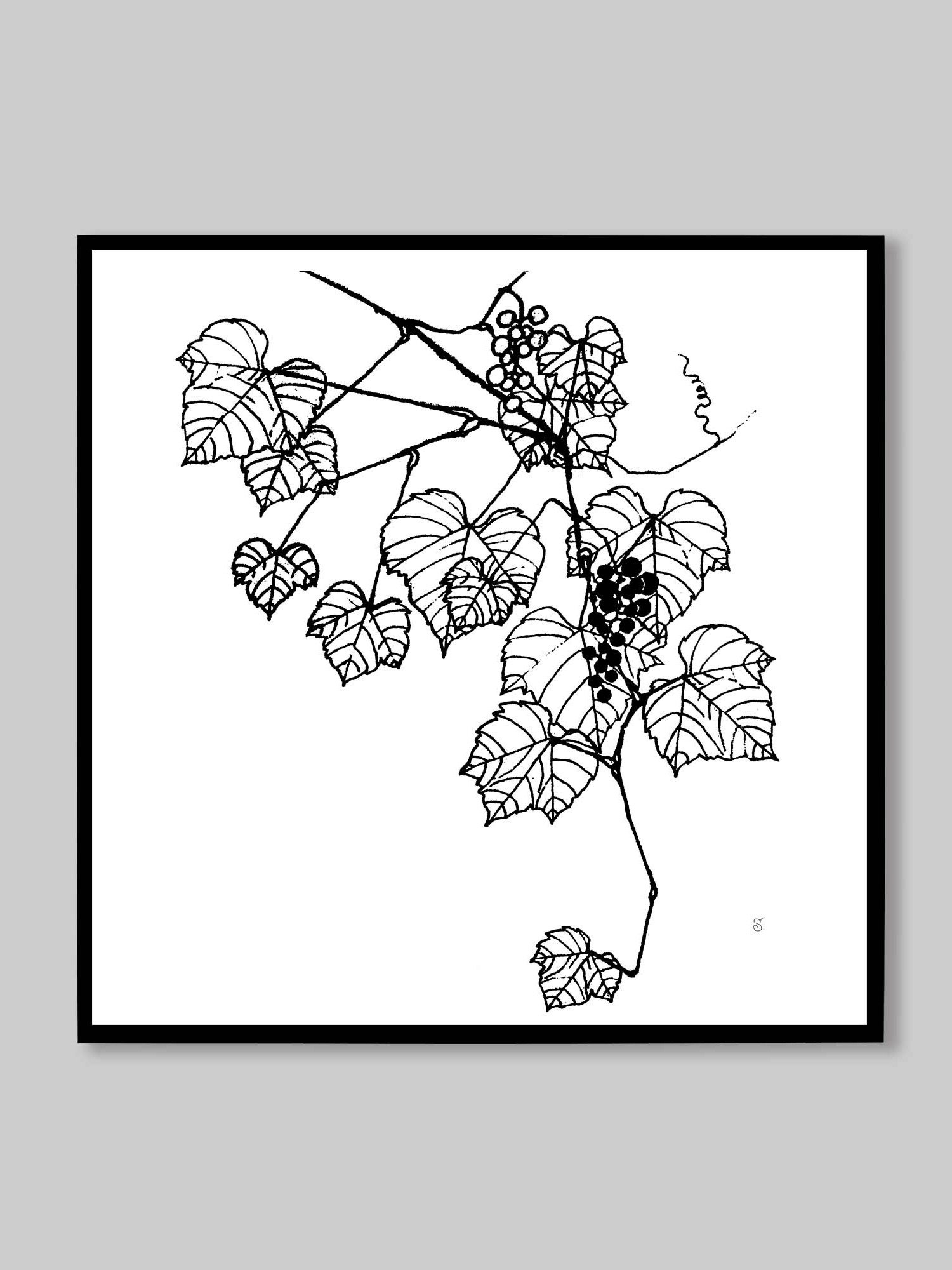 Grapevine Dreams Canvas Print - Grape Leaves Stylish product image (9)