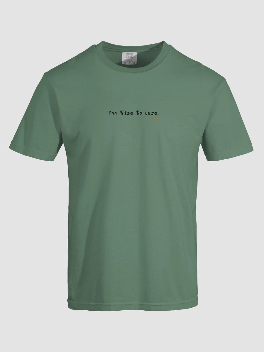 Cat Wisdom : Too Wise to care T-Shirt product image (87)