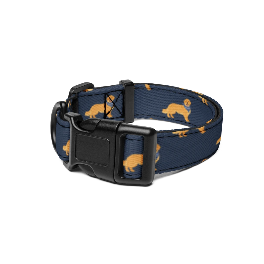 Golden Retriever Dog Collar product image (1)