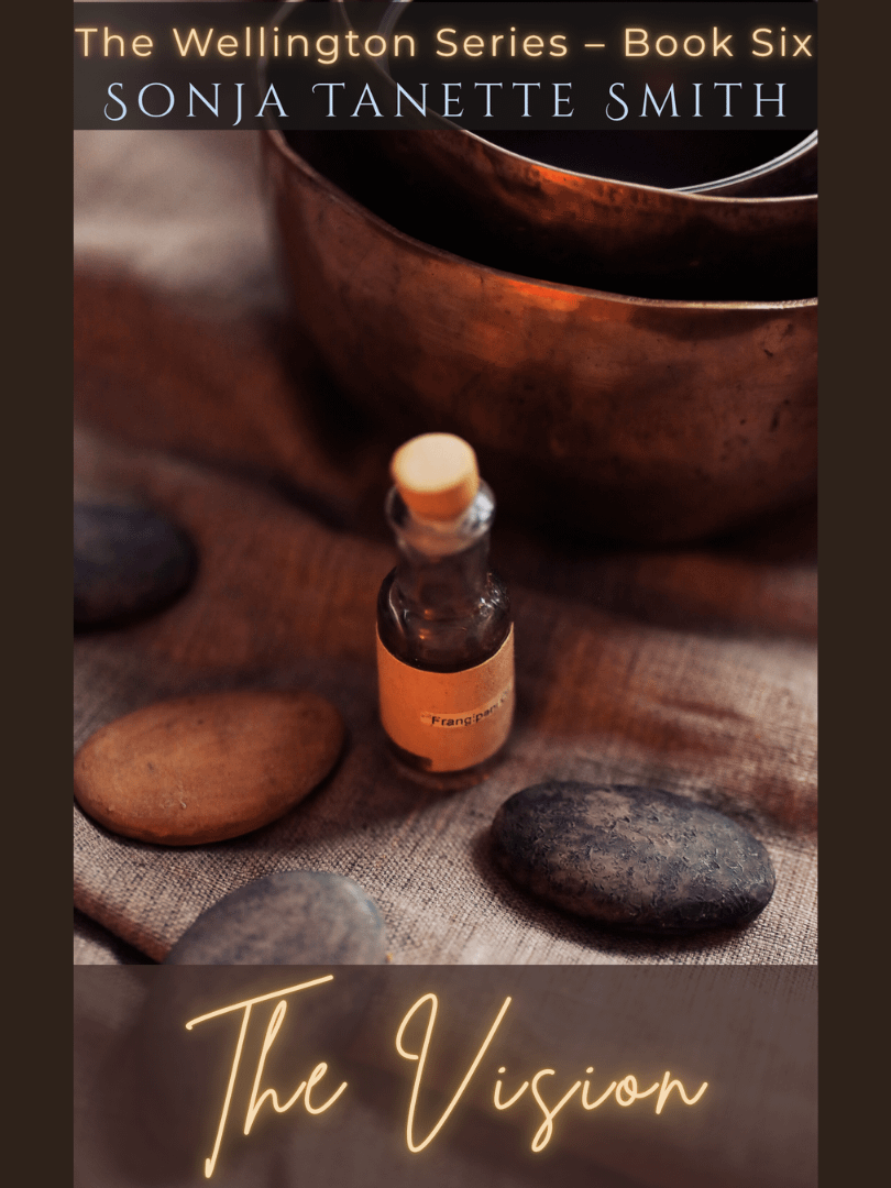 The Vision (Wellington Series | Book Six) by Sonja Tanette Smith product image (1)