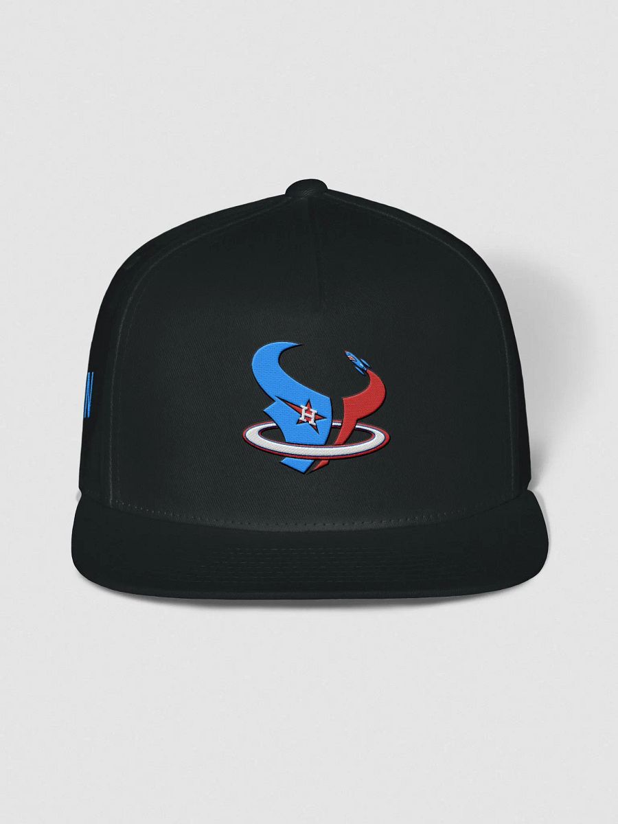 Houston Hometeam Snapback product image (1)