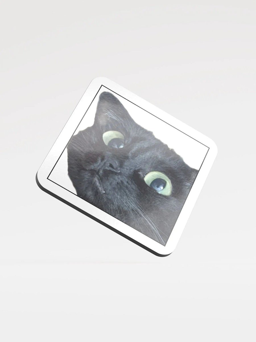Memori Coaster product image (1)