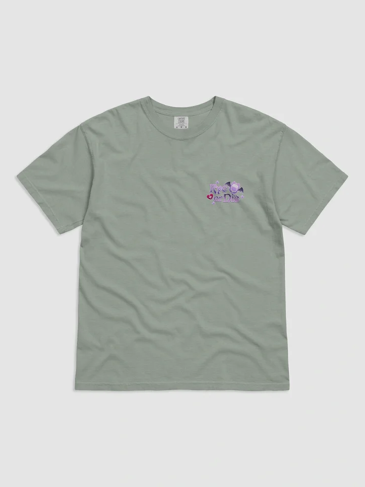 So Rye Garment (RYE_or_)Dyed Heavyweight T-Shirt product image (1)