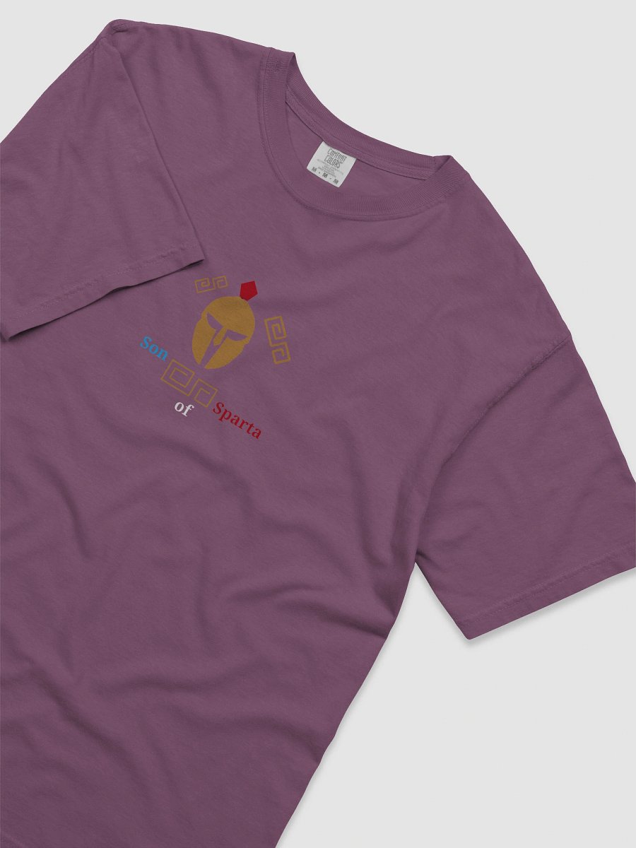 Spartan Legacy Graphic Tee product image (5)