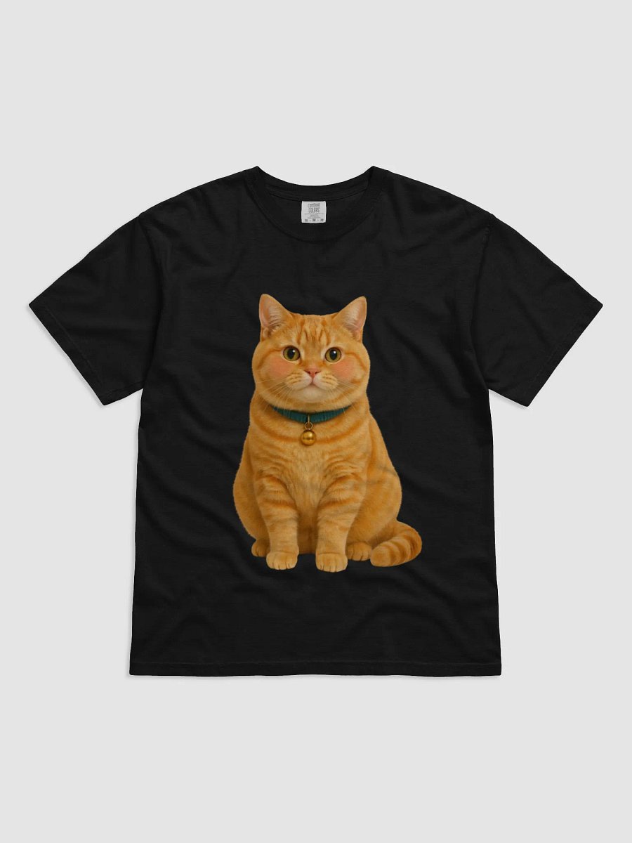 orange cat product image (1)