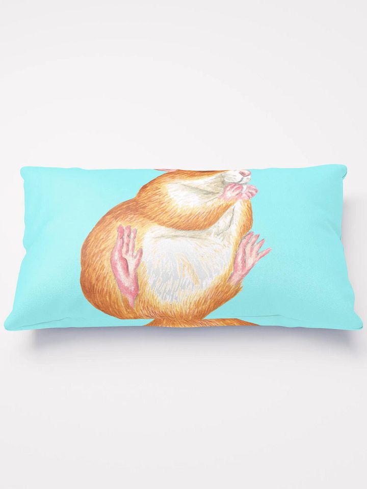 rat eating treat pillows product image (2)