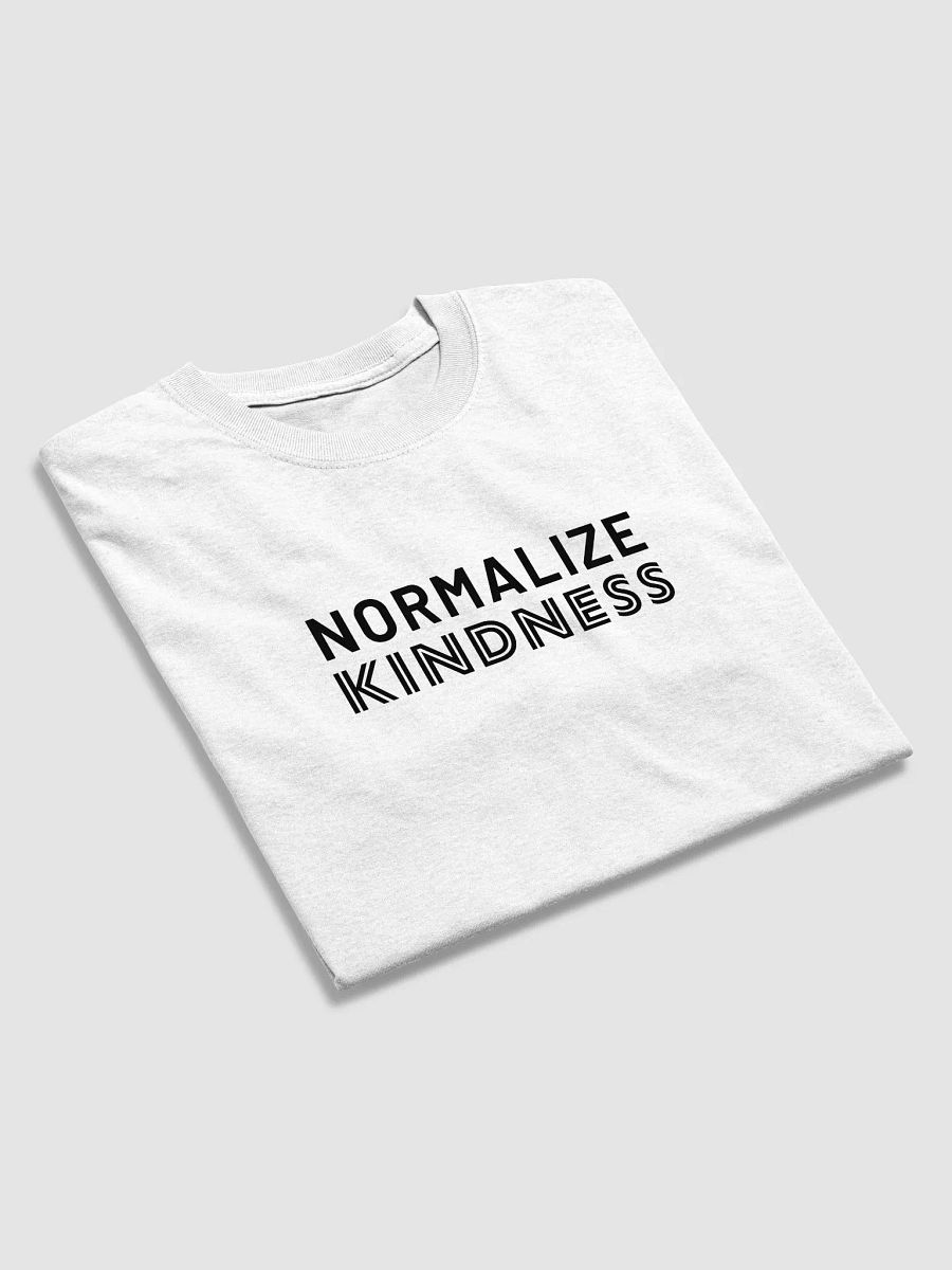 Normalize Kindness t-shirt (black text) product image (3)