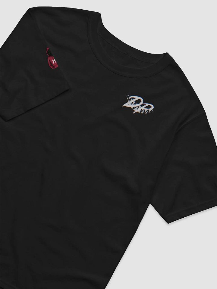Champion and DP T-shirt product image (7)