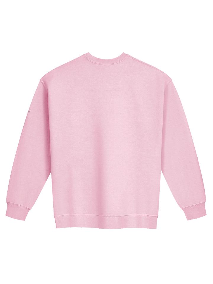 Overcorrection Sweatshirt product image (6)