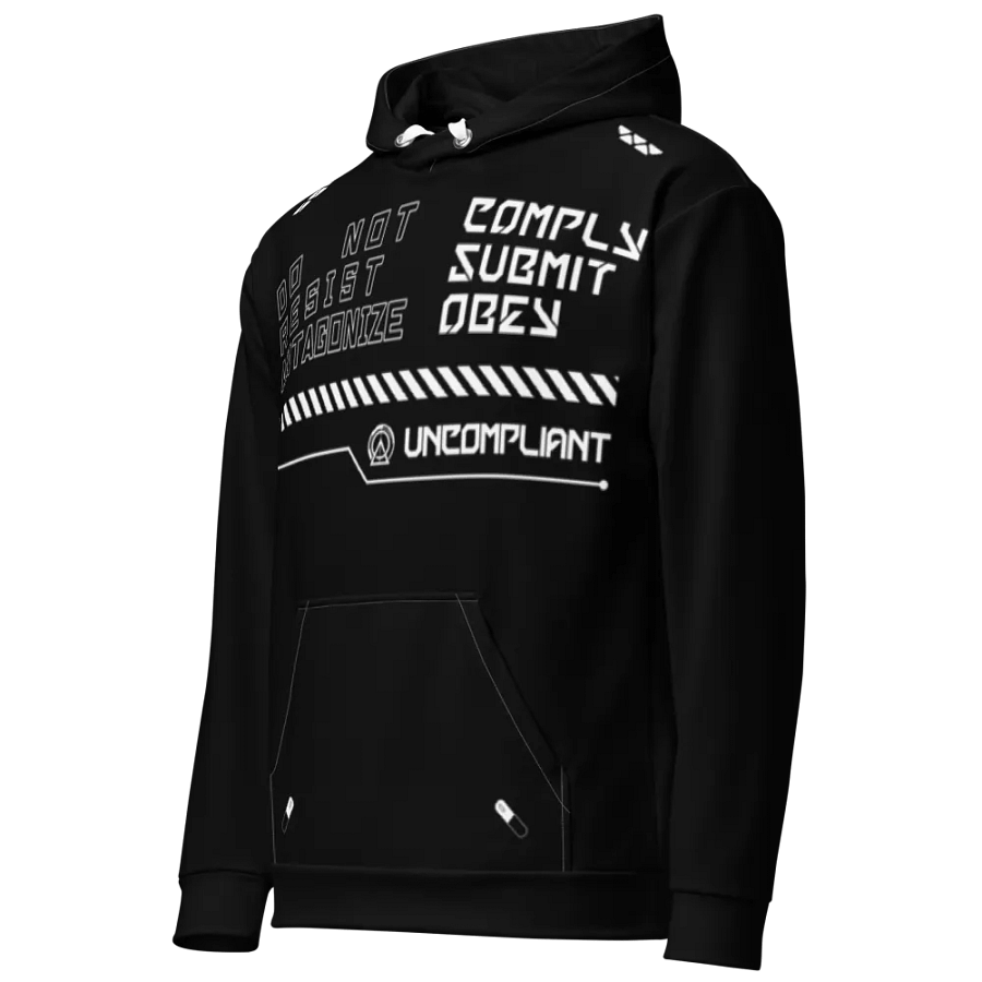 The Statement Hoodie - Black product image (2)