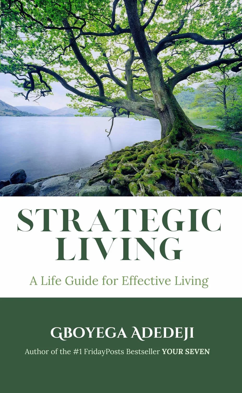 Strategic Living: A Life Guide for Effective Living product image (1)