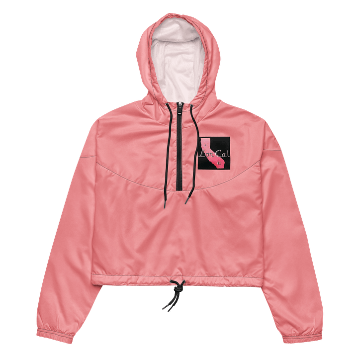 Rain or Shine Hoodie product image (2)