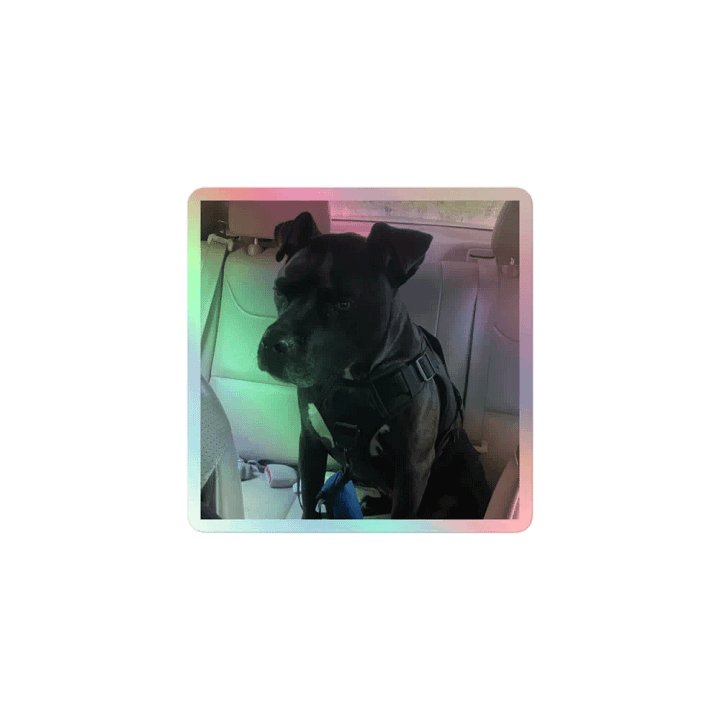 sticker product image (1)