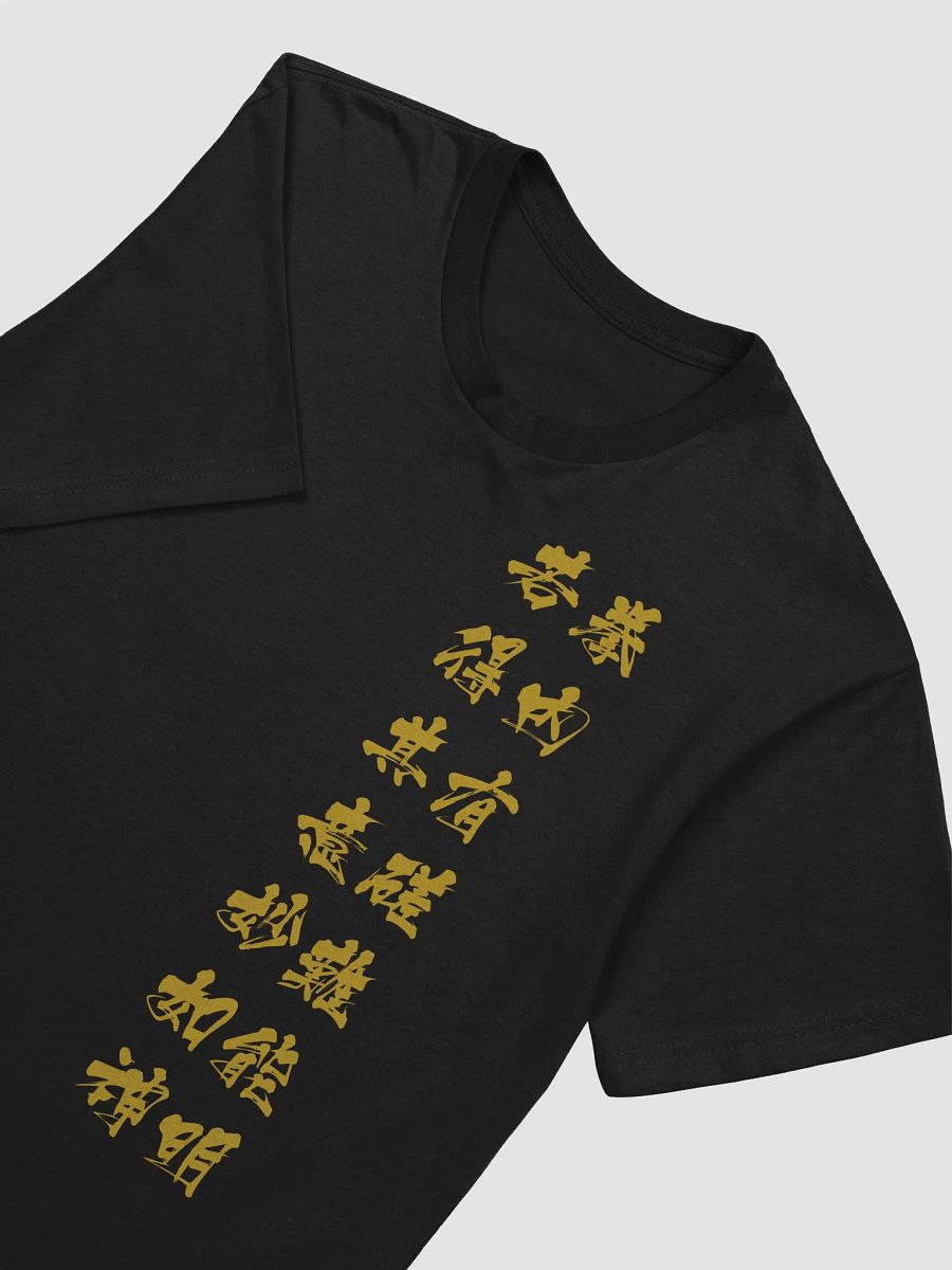 Secrets of Kung Fu product image (20)