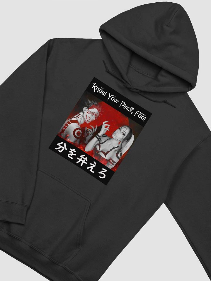 Know Your Place, Fool Hoodie product image (2)