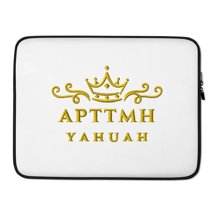 Regal APTTMH Laptop Sleeve product image (2)