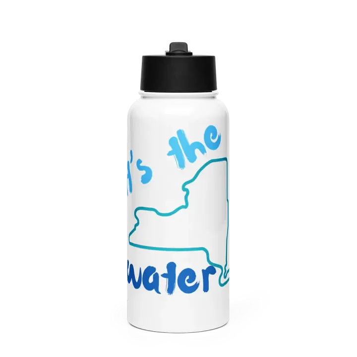 "It's the Water" Stainless Steel Water Bottle with Straw Lid product image (1)