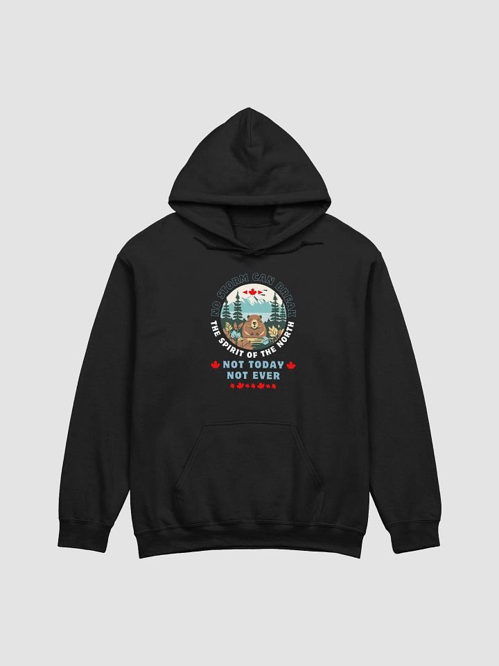 Snow Beaver Classic Hoodie product image (2)