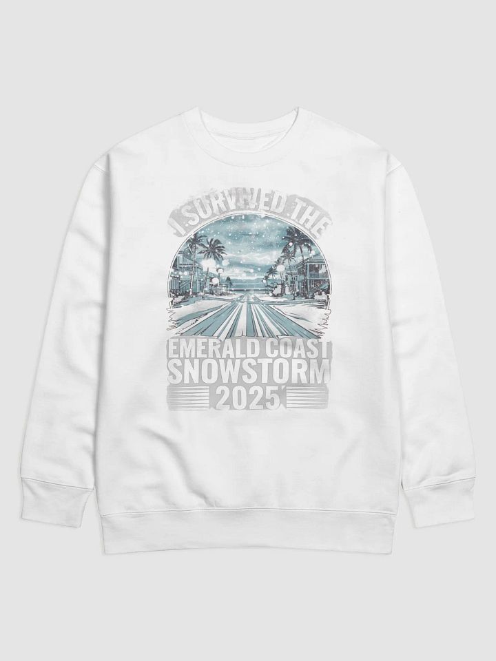 I survived the Emerald Coast Snowstorm 2025 Sweatshirt product image (1)
