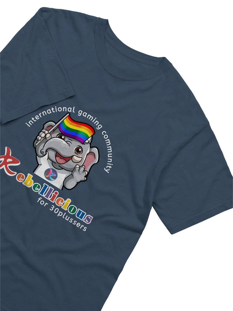 Comfort Colors Pride T-shirt product image (52)