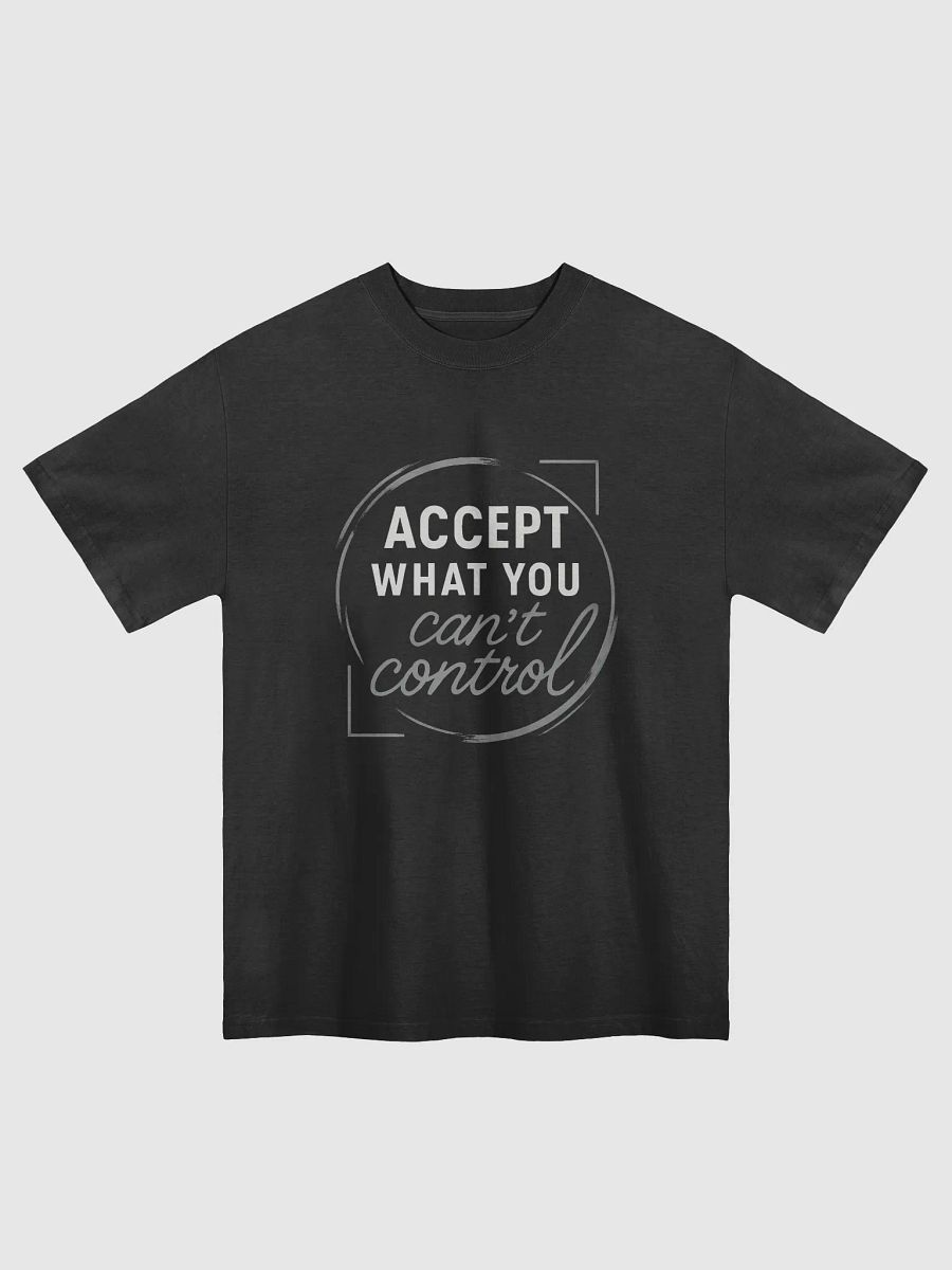 Accept What You Can’t Control — How Sandra Bullock’s Wisdom Can Transform Your Life and Empower Your Journey product image (1)