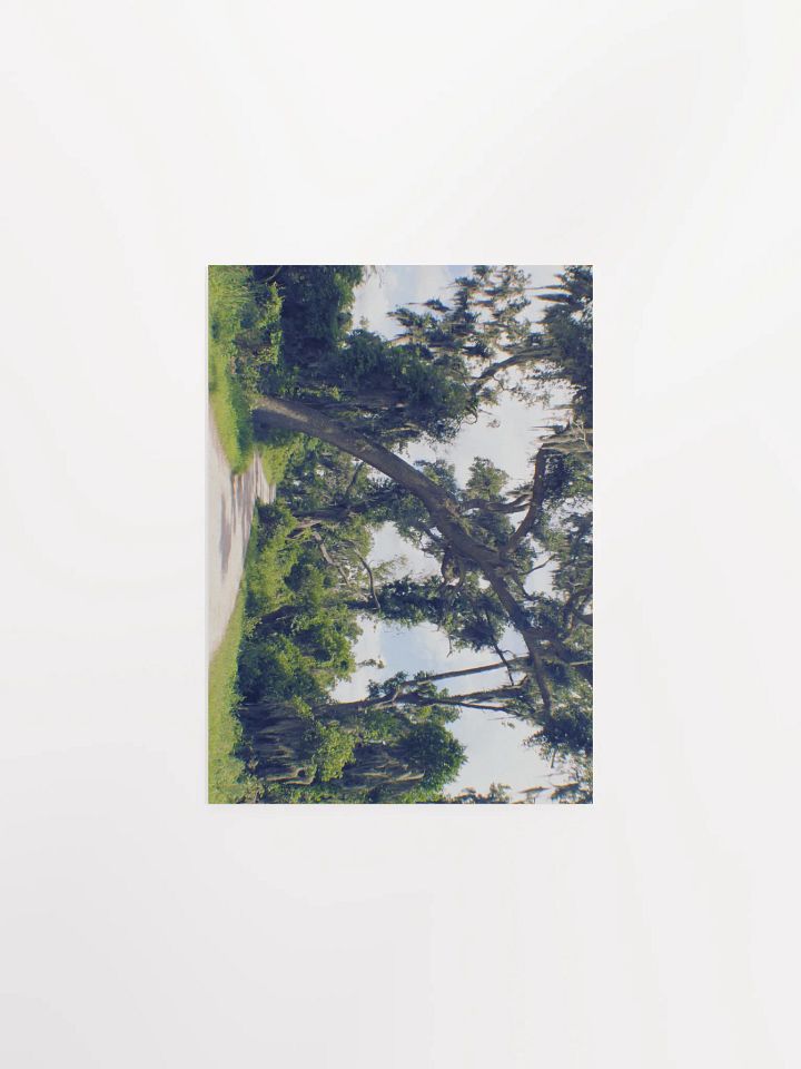 Gates of Heaven product image (3)