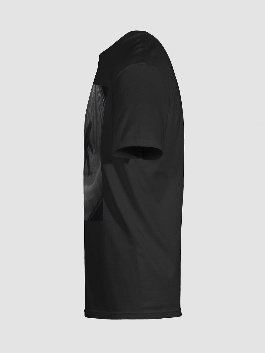 Proof at last! product image (9)