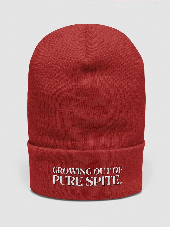 GROWING OUT OF PURE SPITE cuffed beanie product image (31)