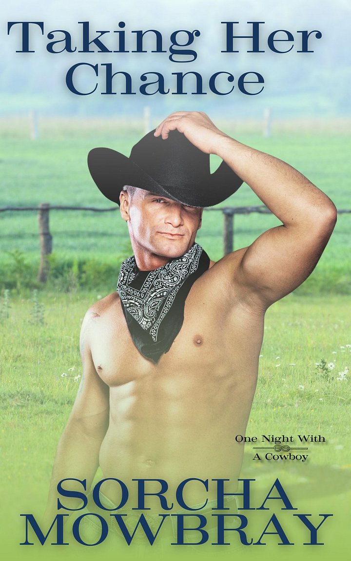 Taking Her Chance (One Night With A Cowboy, Book 1) product image (2)