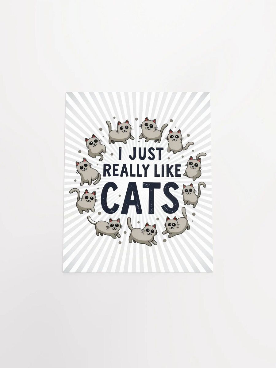 I Just Really Like Cats Poster product image (14)