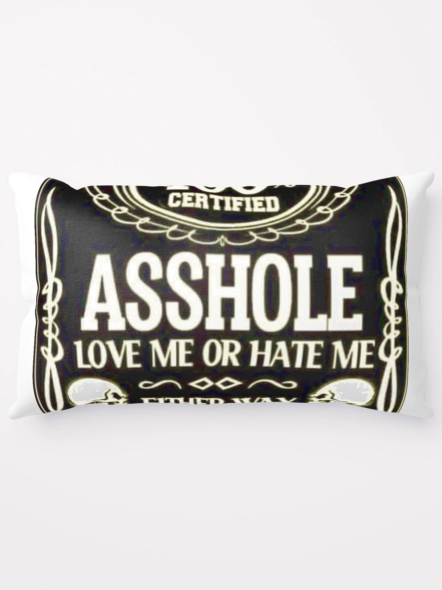 100% asshole pillow product image (13)
